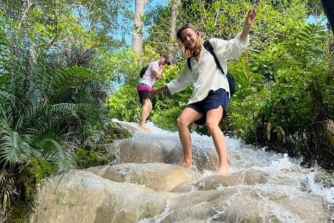 Visite guidée d'une journée complète de Doi Suthep, Wat Pha Lad et Sticky Waterfall
