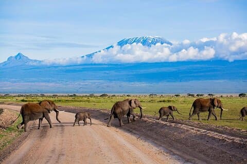 2 nætter 3 dage Amboseli Safari oplevelse