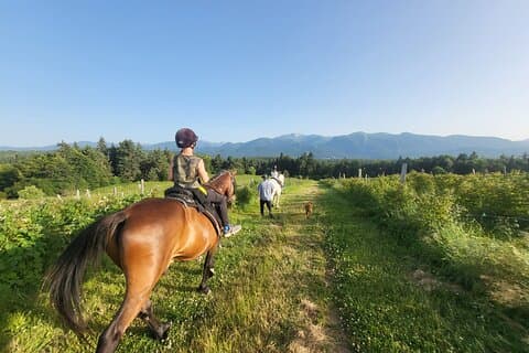 Horse riding experience from Borovets