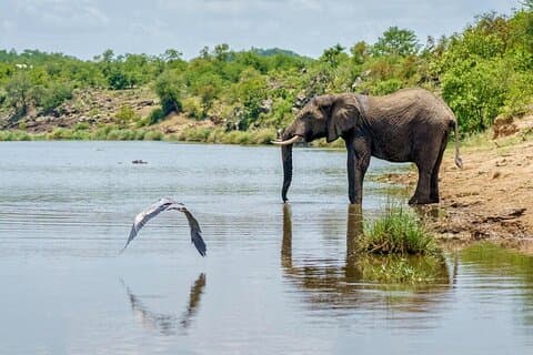 5 dages Selous og Mikumi Safari Adventure Tour