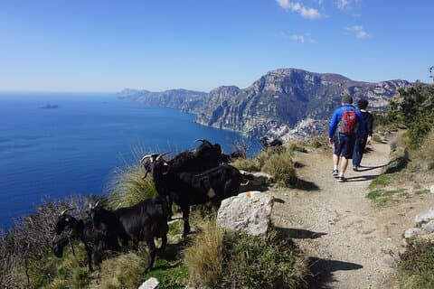 Hoteller i nærheden af Amalfi Coast Trekking & Positano Amalfi Ravello Maiori