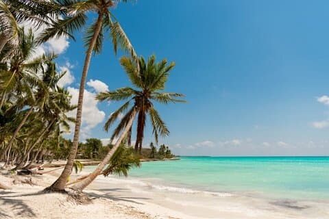 Saona full day with Food and drinks
