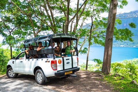 Tour de safari en 4x4 por Moorea Aito - Medio día