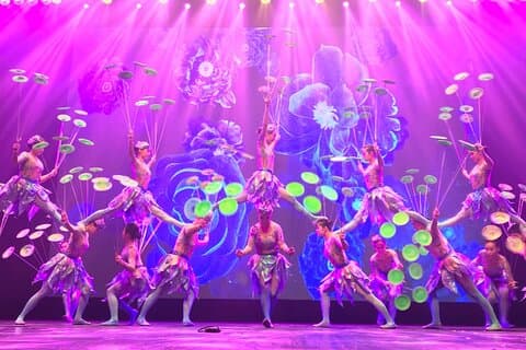 Tour nocturno de Beijing: espectáculo acrobático del teatro Chaoyang (traslado)