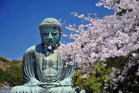 Tour privado Kamakura Enoshima de Tóquio com pickup e guia local