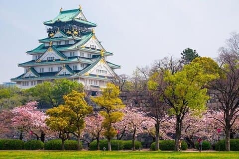 PRIVADO 6hr, Tour gastronómico desde el Castillo de Osaka, Kuromon, Dotonbori.