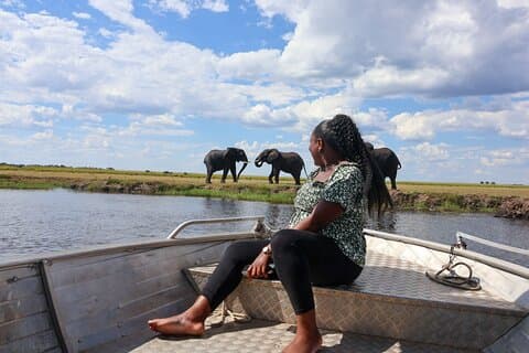 Heldags Chobe Safari-tur med returtransport