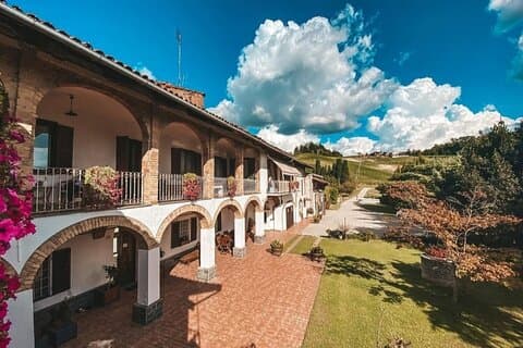 Winery Tour with Wine and Food Tasting in Langhe