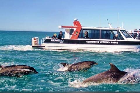 Akaroa dagstur fra Christchurch