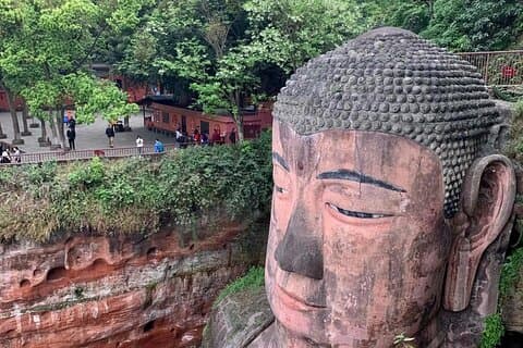 En dagstur til Chengdu Panda Base og Leshan Buddha Tour