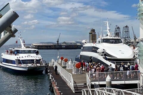 Private Tour of Robben Island e Nelson Mandela's Legacy