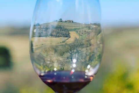 Montepulciano: Vintur og smagning