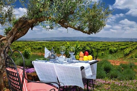 Vinsmaking og lunsj på det eldste Domaine fra Casablanca