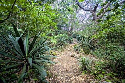 Rincon De La Vieja Hiking from Dreams Las Mareas