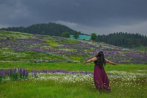 5 Days Kashmir Beauty Tour with Accommodation and Transport