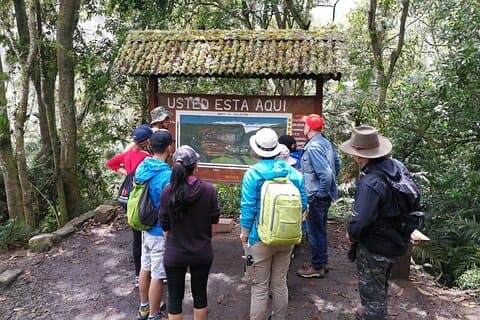 Explore Biodiversity in the Chicaque Cloud Forest Nature Reserve