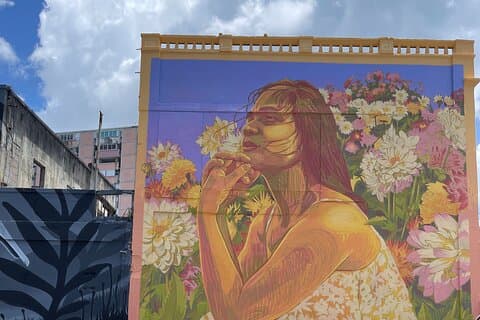 Besök lokala barer i Art District i San Juan