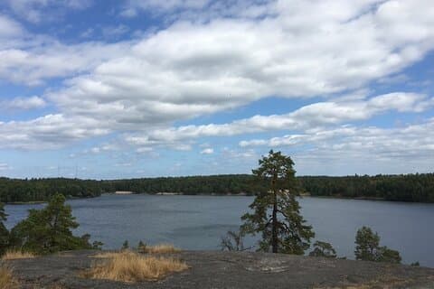 Tour de senderismo en Estocolmo: Explora Hellasgården & Senderos Forestales