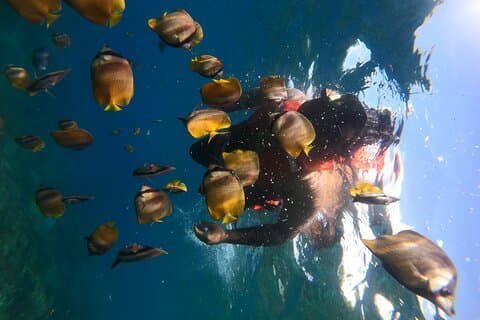 Bali Nusa Penida Tour via terra e snorkeling privato - Tutto incluso