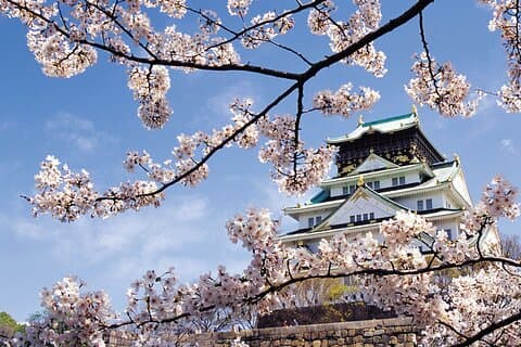 Eintägige maßgeschneiderte, selbstgeführte Tour in Osaka