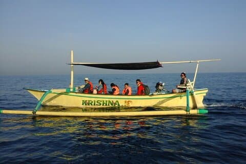 Tour panoramico della Sunrise Dolphin Lovina Beach e del nord di Bali