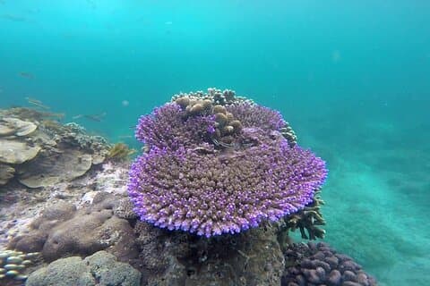 Portão do Céu em Bali Lempuyang e mergulho com snorkel na Lagoa Azul Privada