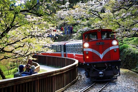 8 Day Private Tour Around Taiwan