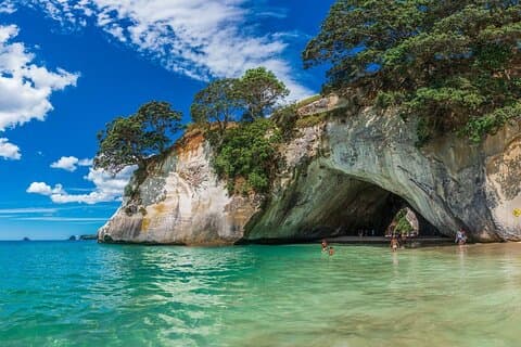 Cathedral Cove and Hot Water Beach Private Tour