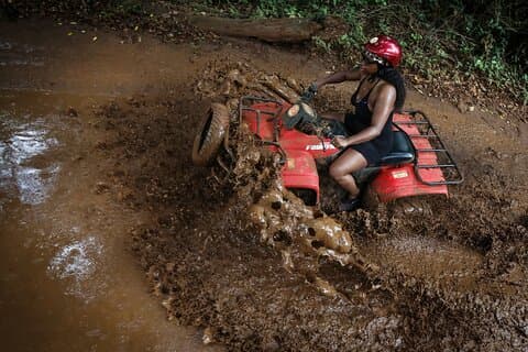 Paard Xtreme Wild
