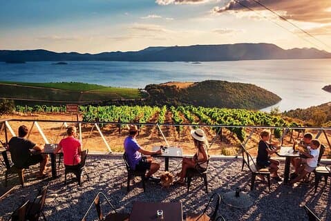 Dégustation de vins - Pelješac - Ston - Dégustation d'huîtres - Déjeuner authentique