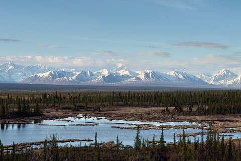 Tour autentico del Denali da Denali Park e Fairbanks