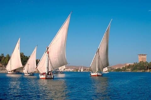 Excursión al jardín botánico de Asuán y experiencia de navegación en Felucca