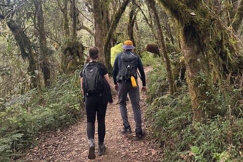 Escursione privata di un giorno al Monte Kilimanjaro