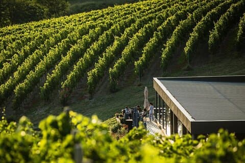 Private Tasting Expedition Along Romania’s Most Famous Wine Route
