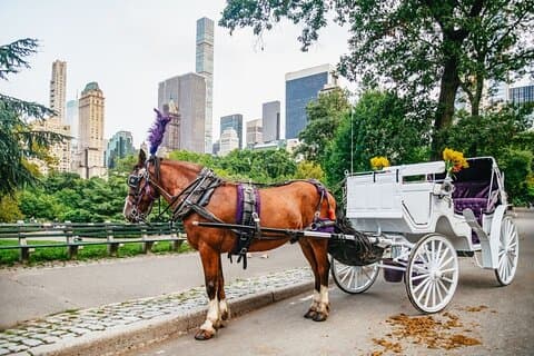 Balade en calèche privée officielle dans le Central Park de New York depuis 1965 ™