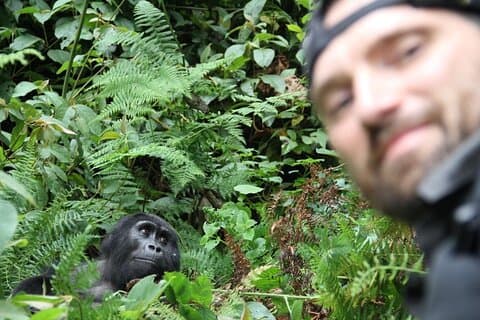 3 dagars privata Bwindi gorillor och vulkaner Golden Monkey Trek