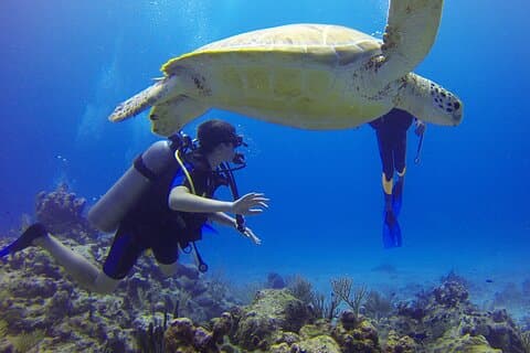 Paracas : Tauchen im Meer - Tauchen in Paracas