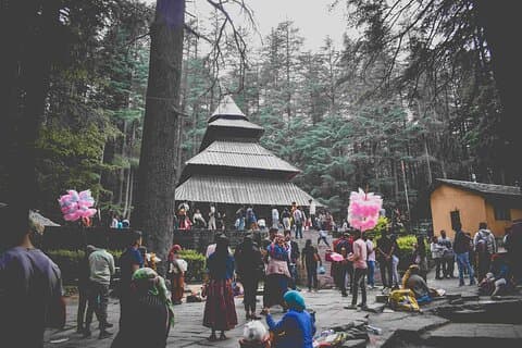 Manali, Kullu, Nagger & Solang Valley Sightseeing Day Tour