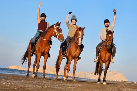 Reiten Muscat Beach