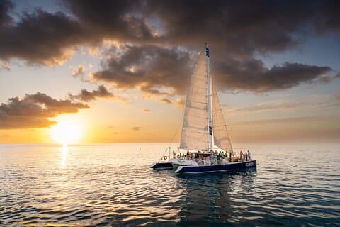 Key West Sunset Sail: Delfinsafari, vin og tapas