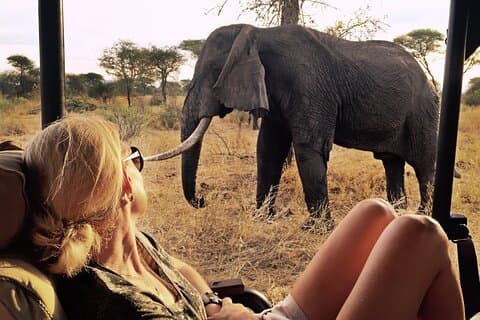 11 dages Kenya Safari Tour på 4x4 Landcruiser Jeep