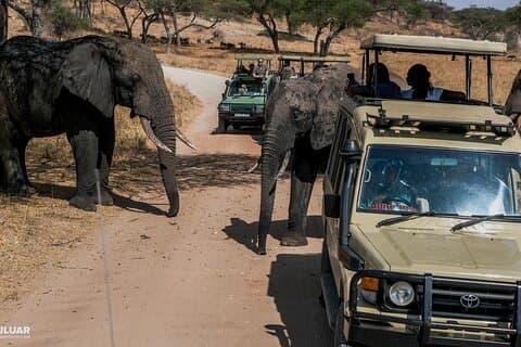 3-dagers Amboseli National Park Budget Safari på 4x4 Landcruiser Jeep