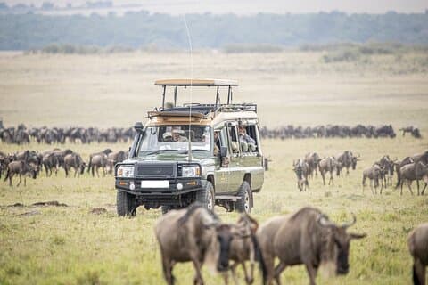 3 Días Masái Mara Grupo Uniéndose a Camping Safari