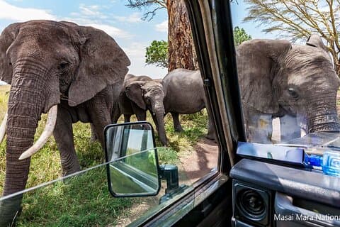 6 dagars Masai Mara Serengeti och Ngorongoro på 4x4 Landcruiser