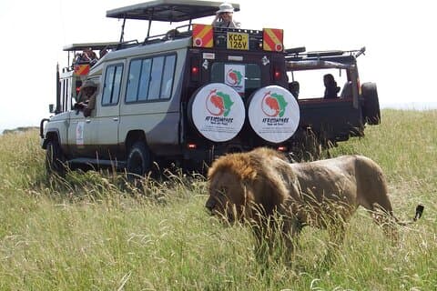 3 dagars 8:e världsunder med Maasai Mara Great Tour