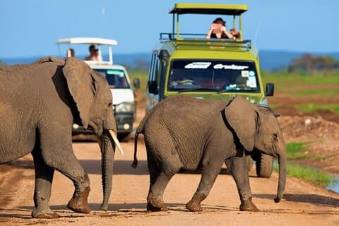 Nairobi 6 dagars rundtur Amboseli Tsavo West East National Parks