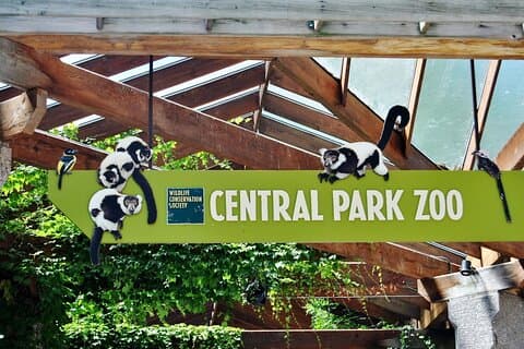 Bezoek Central Park Zoo en 3 uur durende wandeltocht door Manhattan