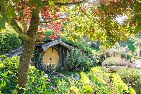 Auckland a Hobbiton Movie Set Esperienza per piccoli gruppi