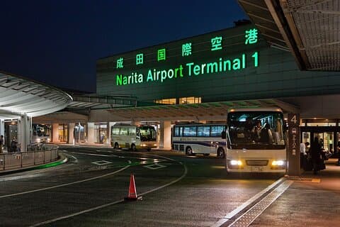 Narita flyplass (NRT) til/fra Tokyo Disney eller Yokohama