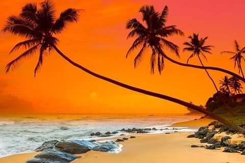 11 jours pour explorer le Sri Lanka